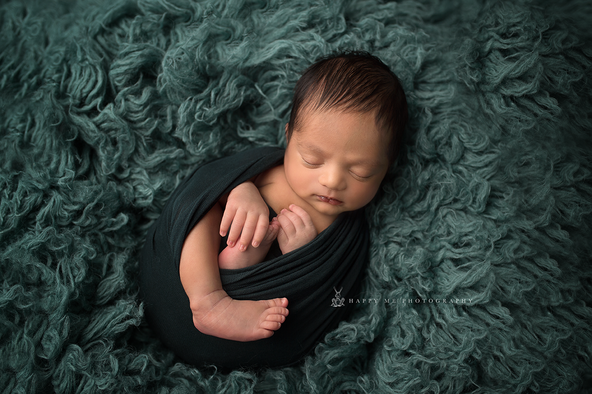 belmont newborn photography