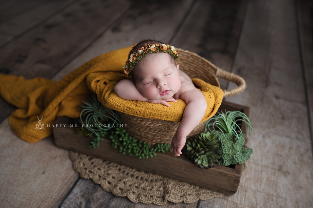 newborn photographer santa cruz